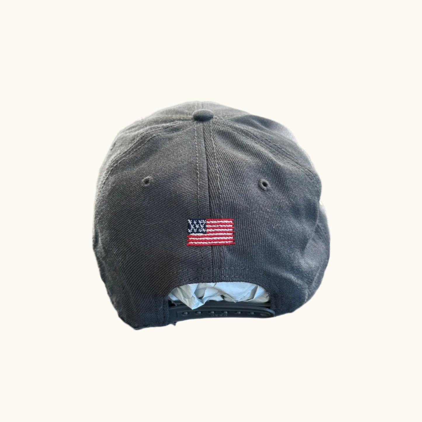 Team USA Hat